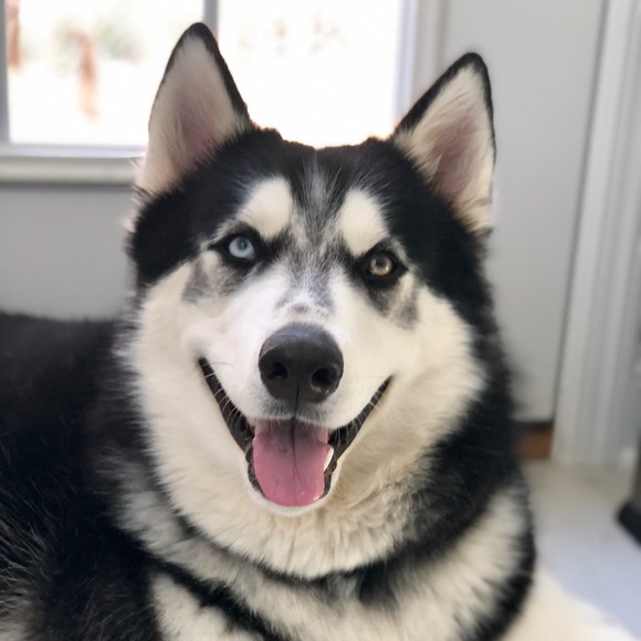 Come Visit my Mommy’s closet! ✨ - Picture 1 of 1